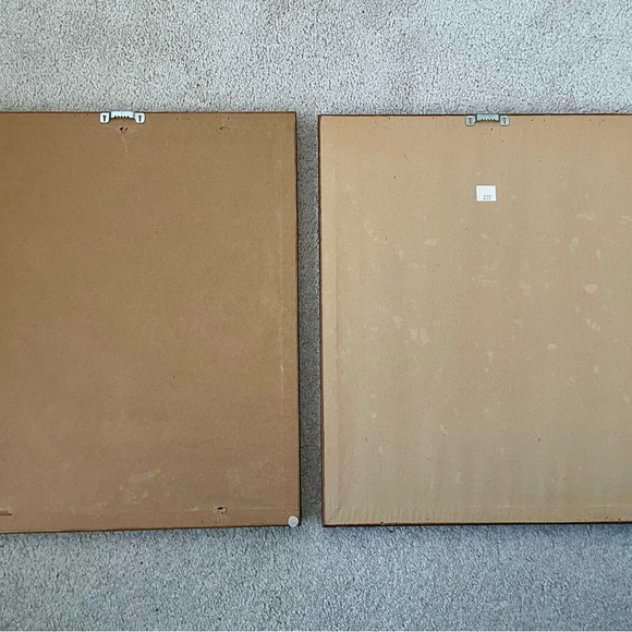 2 Framed Matted Vintage Floral Flower Botanical Bouquet Prints Litho Robert Furb - Picture 7 of 14